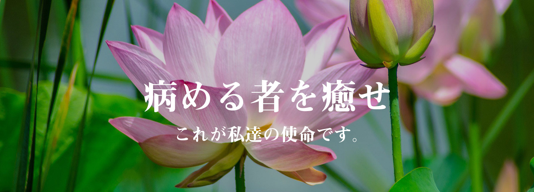 病める者を癒せ