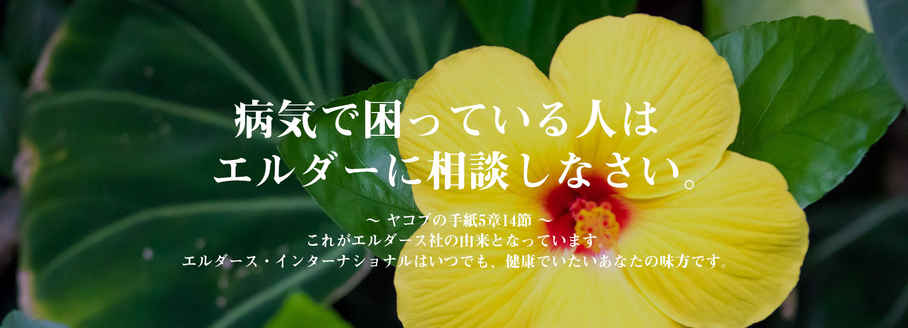 病気で困っている人はエルダーに相談しなさい